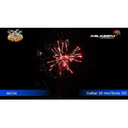 ЗОЛОТОЙ ПАУК / GOLDEN SPIDER (0,8