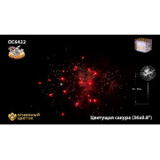 Цветущая сакура (0,8