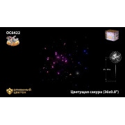 Цветущая сакура (0,8