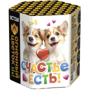 Счастье есть! (1,1