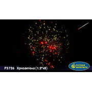 Хризантема (1,2