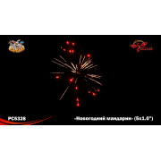 Новогодний мандарин (1