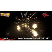 Служу Отечеству (0,8