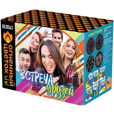 Встреча друзей (1,1"х48) 1/6