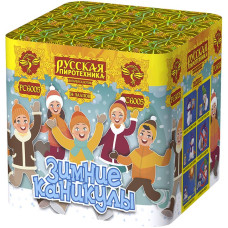 Зимние каникулы (0,6х36) 1/18