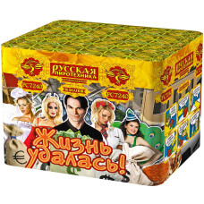 Жизнь удалась! (1,1"х36), 4 эф, 1/6